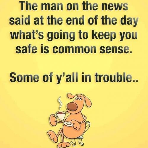 inbound882158770384274859