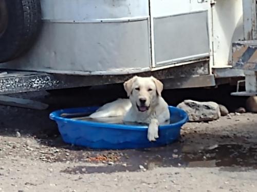 IMG_20210509_110401468