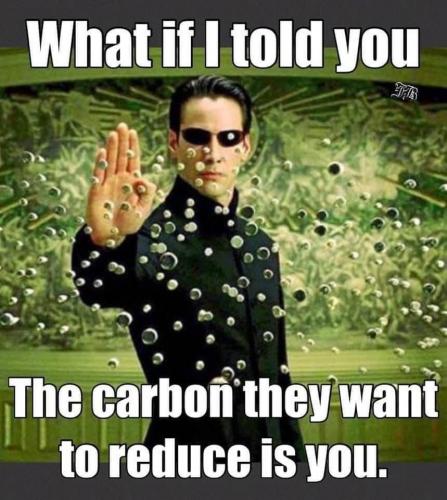 The Carbon They Want To Reduce Is ... You