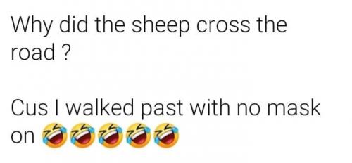 Sheeple