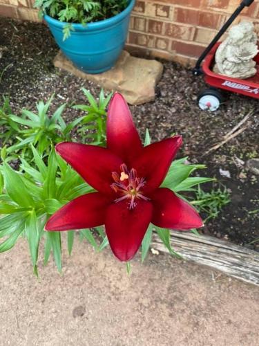 09:43:18 GMT-0500 (CDT).image