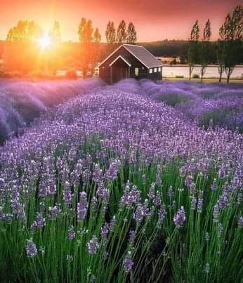 06:58:05 GMT-0500 (CDT)