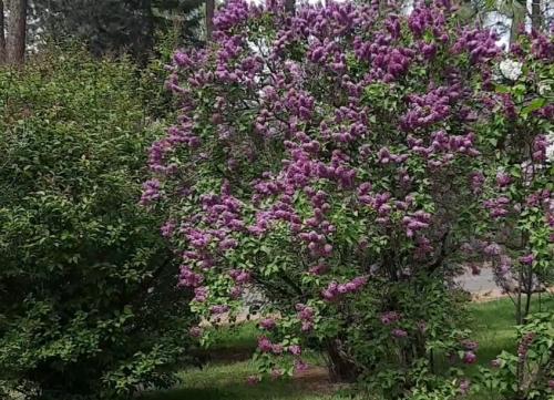 EB4C503C-4996-4E84-9F7E-157EF4FAC566