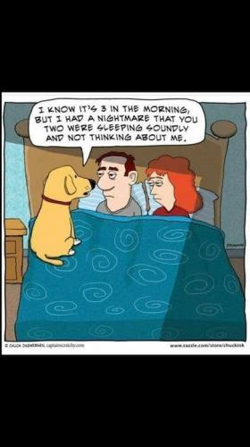 tumblr_26dac58a35602dad2bc46b39c2523ec3_ec265573_500