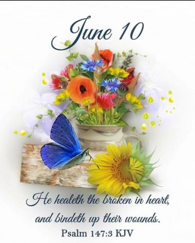 Screenshot_20210610-065156_Gallery