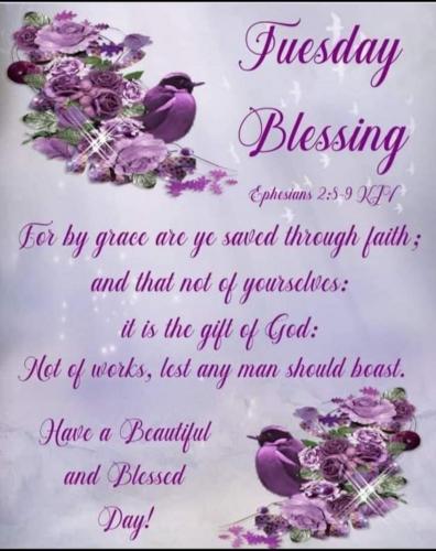 Screenshot_20210622-063119_Gallery