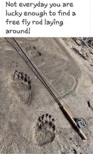 tumblr_1447439e00fde402e4c10c73c3e3a611_af63fb2d_640