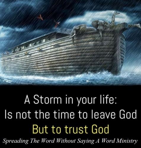 192203393_492409962101240_6649738283117254526_n