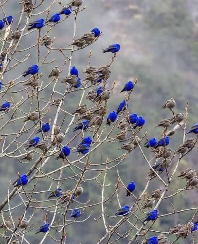 193703205_341916750645338_3677880350133976491_n