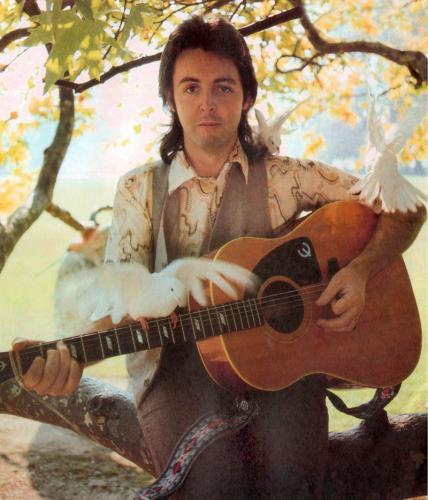 tumblr_nam67ma5fX1snb6qwo2_r1_1280