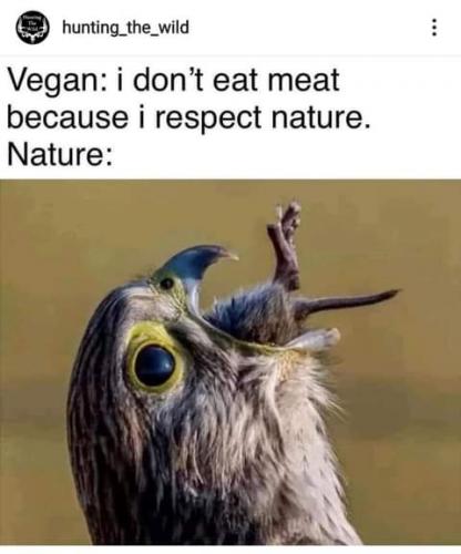 FB_IMG_1623516446344