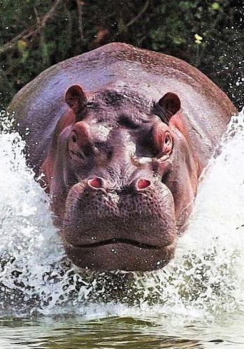 1739c68f9f7617c8d771269a46abe1b6