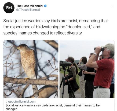 02:07:17 GMT-0400 (EDT).image