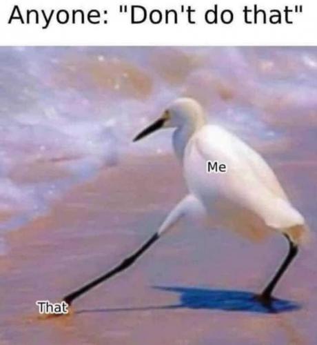 12:07:59 GMT-0400 (EDT)