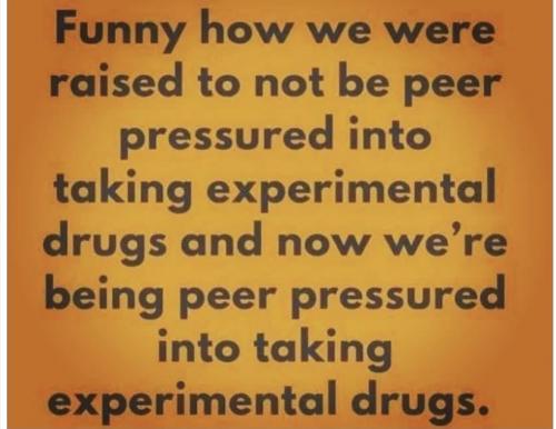 4b1ecdfa79a2b8783870f961bb14d24e_1024