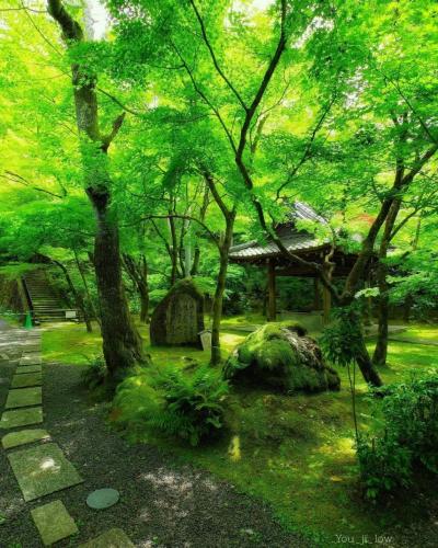 204006609_4048100998642335_8168117352513241399_n