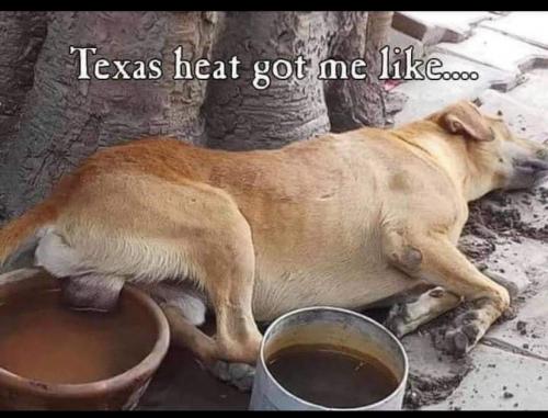 FB_IMG_1624816527630