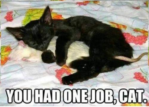 13:43:11 GMT-0400 (EDT)