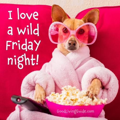 WILD FRIDAY