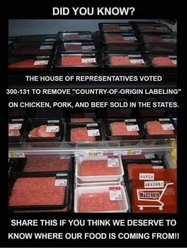 96754183_1574907756018848_8341803112855502848_n