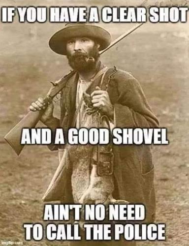 106507719_906112243242160_1931181519636414202_n