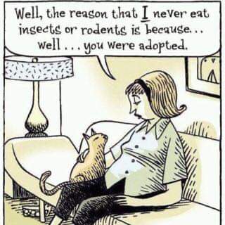 19:11:17 GMT-0500 (CDT)