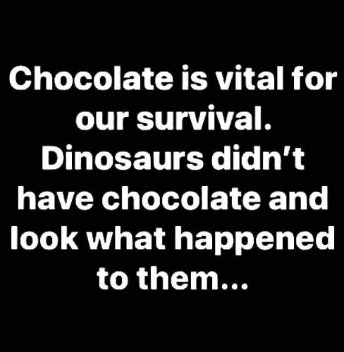 dinosaurschocolate8816192494487830_n