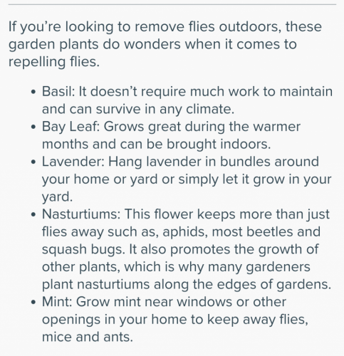Screenshot_20210630-095221_(1)