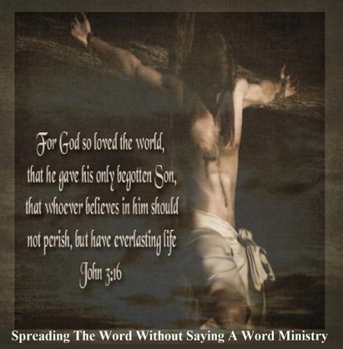 11392995_779259998839800_7438697093188815609_o