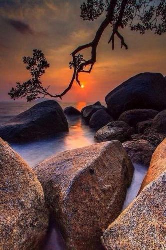 Screenshot_20210610-065214_Gallery