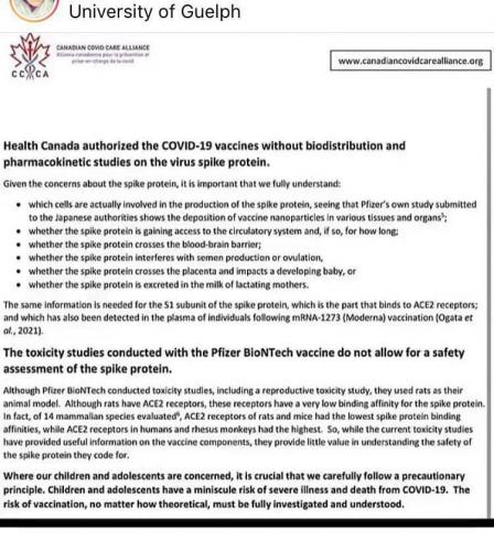 photo_2021-05-31_23-50-19