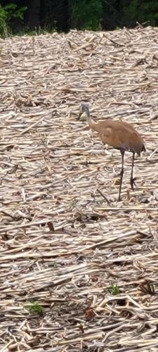 13:46:35 GMT-0500 (CDT)