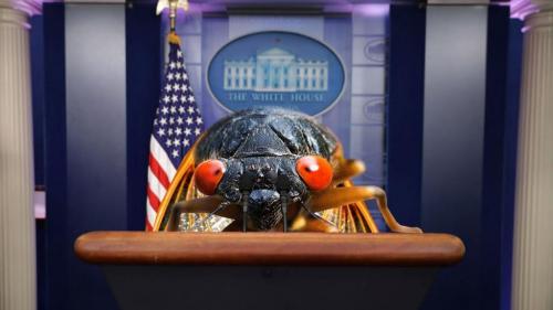 IMG_20210621_210111_913