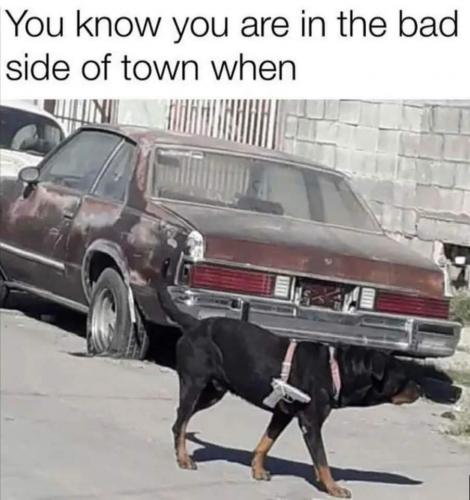 17:25:04 GMT-0500 (CDT)