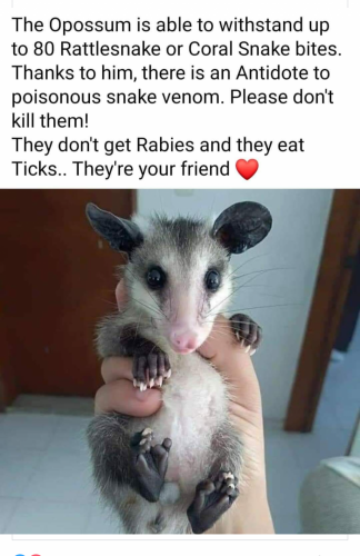 00:13:18 GMT-0400 (EDT)