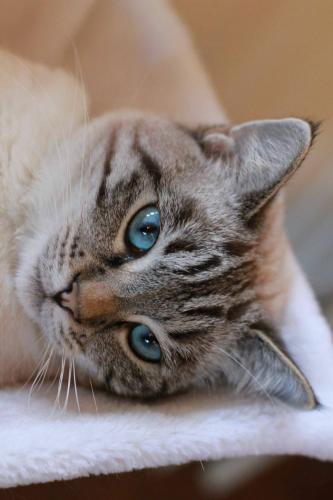 06:09:54 GMT-0500 (CDT)