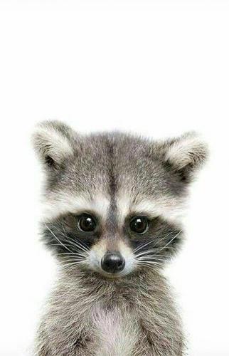 15:07:45 GMT-0500 (CDT)