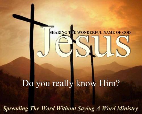 11312768_776406255791841_6998255430036246580_o