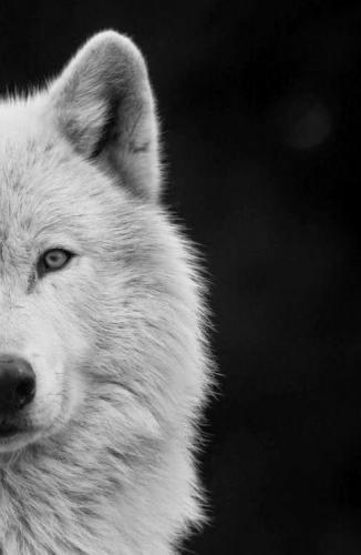 03:11:06 GMT-0500 (CDT)