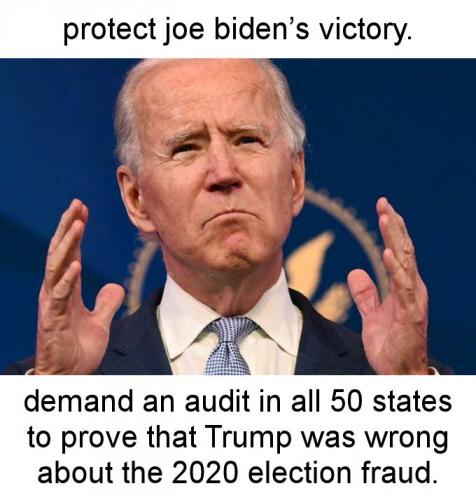 voterfraud181