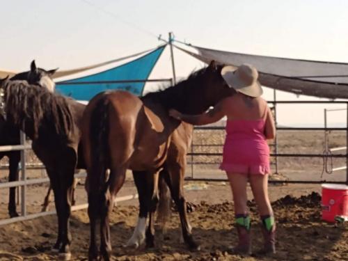 received_868824947042432