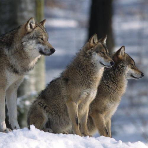 192515133_330200672007299_1965865213565811149_n