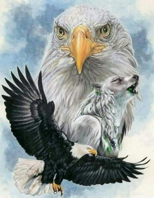 FB_IMG_1623096069948