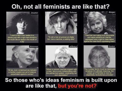 11535927_798839713546647_4439926932918747285_n feminism