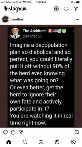vaccine244