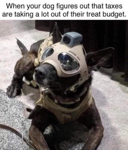 15:10:37 GMT-0500 (CDT)