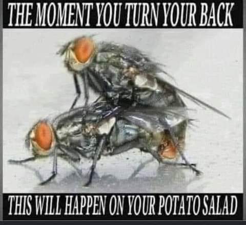 FB_IMG_1624910255710