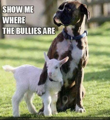 21:54:36 GMT-0500 (CDT)