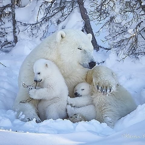 193975432_341718730665140_6783623973523466284_n