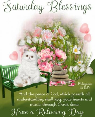 Screenshot_20210618-200622_Gallery